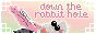 Down the Rabbit Hole